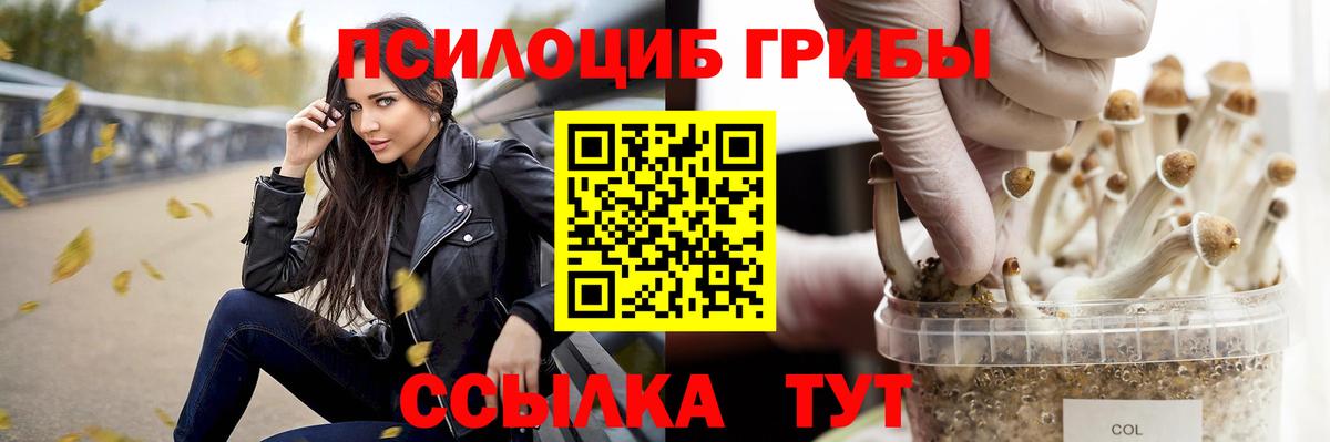 Галлюциногенные грибы прущие грибы Новошахтинск